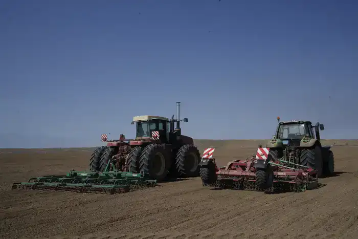 Фермеры Жетісу начинают сев сахарной свёклы на 13 тыс. гектаров с новыми агротехнологиями