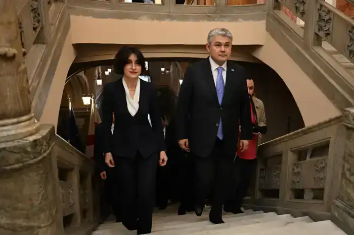 Министры Казахстана и Грузии обсудили новые направления сотрудничества, включая инвестиции и транспортные маршруты