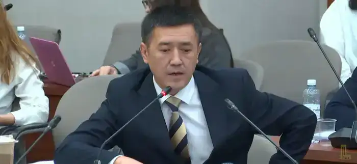 Развитие внутристрановой ценности обсудили в Мажилисе (5)