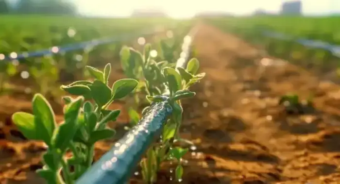 Снижение водопотребления в аграрном секторе при весенне-полевых работах