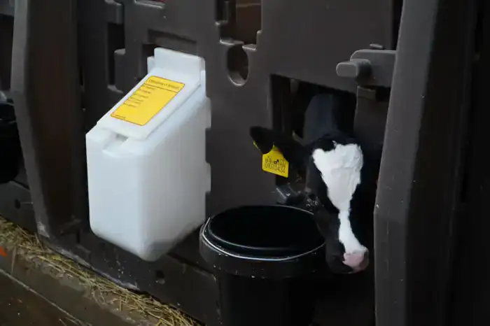 В Акмолинской области запустили современную молочную ферму на 400 голов (7)