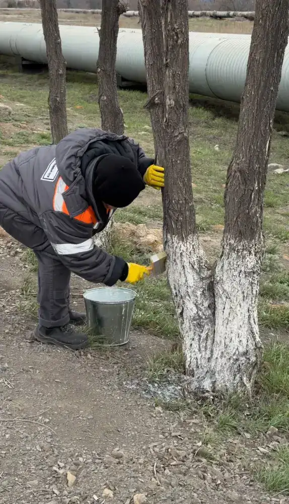 Экологическая акция в Павлодарской области: шаг к устойчивому будущему через совместные усилия