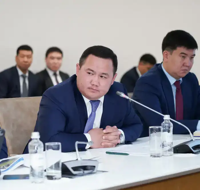 В ИНДУСТРИАЛЬНЫХ ЗОНАХ ТУРКЕСТАНСКОЙ ОБЛАСТИ РЕАЛИЗУЕТСЯ 98 ИНВЕСТИЦИОННЫХ ПРОЕКТОВ НА СУММУ БОЛЕЕ 132 МЛРД ТЕНГЕ (3)