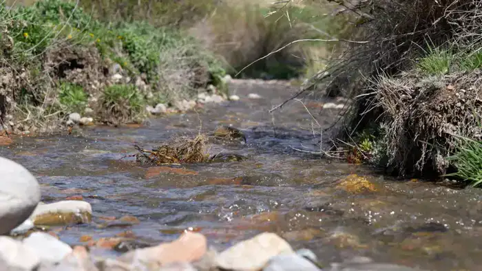 Аксакалы села Алатау организовали и провели очистку родника с участием местной молодежи в рамках экологической акции «Мөлдір бұлақ» (3)