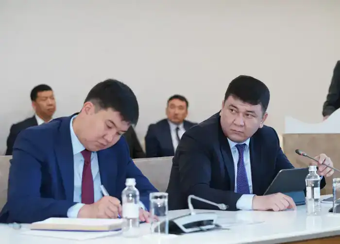 В ИНДУСТРИАЛЬНЫХ ЗОНАХ ТУРКЕСТАНСКОЙ ОБЛАСТИ РЕАЛИЗУЕТСЯ 98 ИНВЕСТИЦИОННЫХ ПРОЕКТОВ НА СУММУ БОЛЕЕ 132 МЛРД ТЕНГЕ (5)