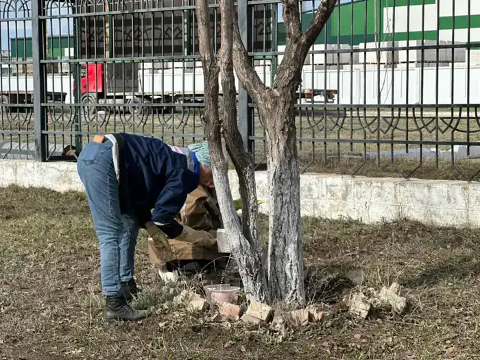 «Таза Қазақстан»: на территории столичного завода прошла масштабная уборка (2)