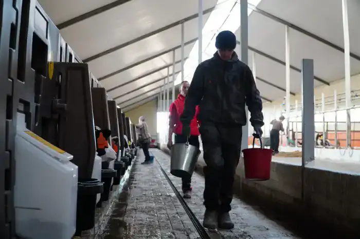 В Акмолинской области запустили современную молочную ферму на 400 голов (5)