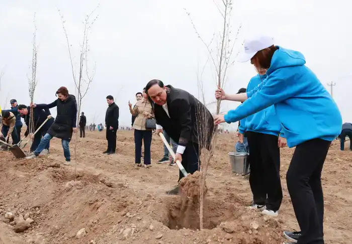Экологическая инициатива в Таразе: 10 тысяч деревьев высажены в рамках субботника