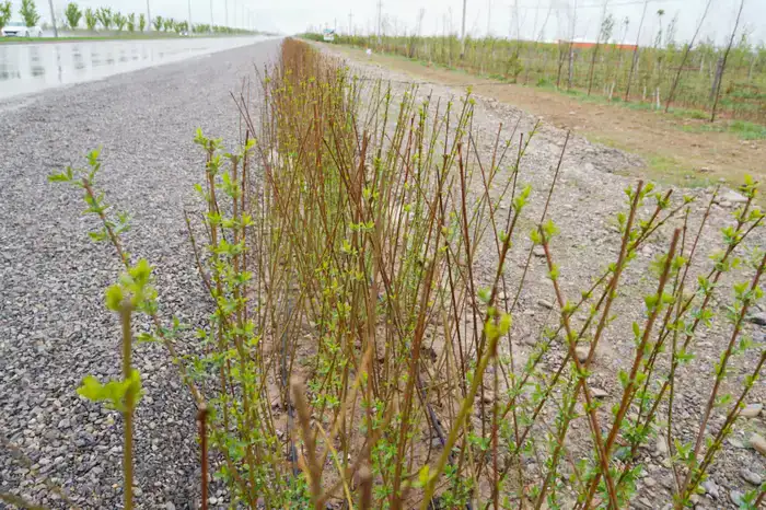 В ТУРКЕСТАНЕ ОБСУДИЛИ ХОД СОЗДАНИЯ ЭКОПАРКА (3)