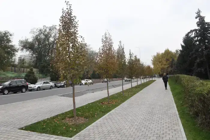 Более 1000 рабочих и 230 единиц спецтехники обеспечивают уборку и благоустройство Алмалинского района Алматы