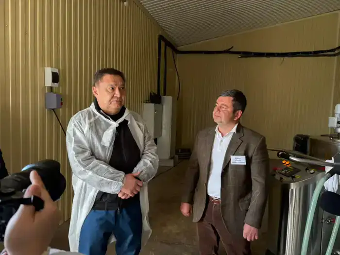 Современная молочная ферма на 400 голов в Акмолинской области с производством 4 тонн молока в сутки