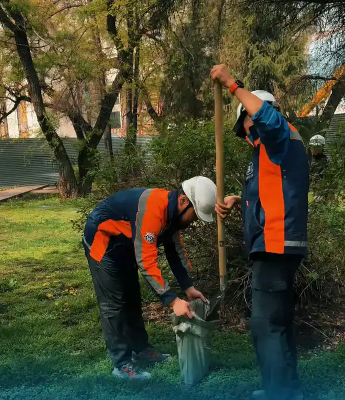 Алматы: субботники, превращающие заброшенные участки в оазисы жизни