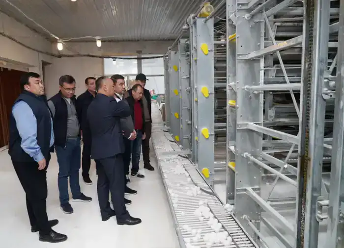 ТУРКЕСТАН: ПТИЦЕФАБРИКА В САРЫАГАШЕ ОБЕСПЕЧИВАЕТ РЕГИОН ОТЕЧЕСТВЕННОЙ ПРОДУКЦИЕЙ (6)