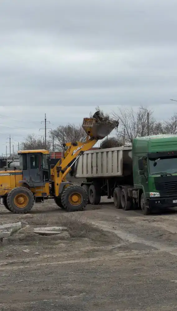В Павлодарской области прошла экологическая акция «Таза қала» (3)