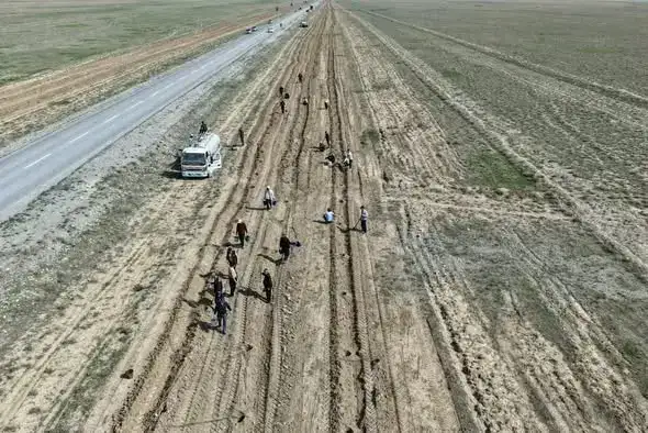 ТУРКЕСТАН: В СОЗАКЕ ТЕРРИТОРИЯ ЗЕЛЕНОГО ПОЯСА УВЕЛИЧИЛАСЬ НА 3 КИЛОМЕТРА (2)