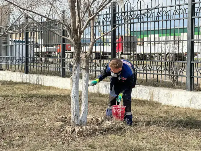 «Таза Қазақстан»: на территории столичного завода прошла масштабная уборка (6)