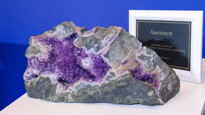 Олжас Бектенов: Казахстан усиливает геологоразведку и создает новую инфраструктуру для развития отрасли (9)