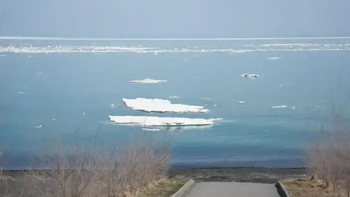 Аида Балаева ознакомилась с ходом подготовки побережья Алаколя к летнему туристическому сезону (3)