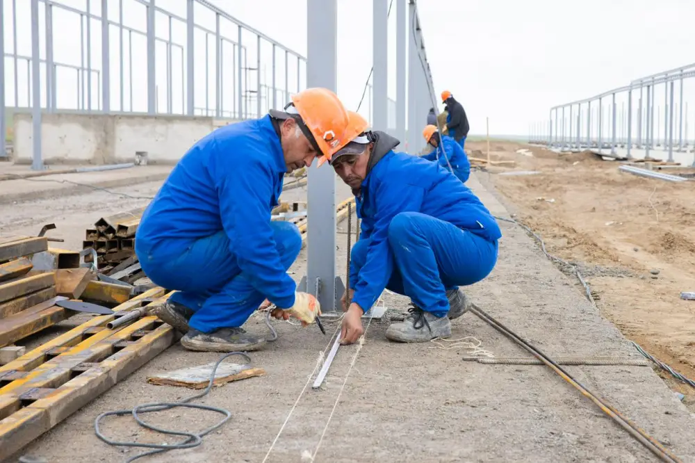 В Жамбылском районе расширяют посевные площади за счёт пастбищных земель (3)