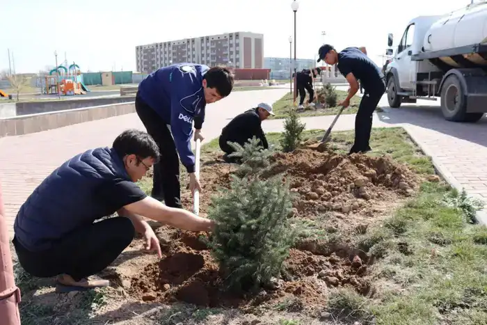 «Таза Қазақстан»: в рамках общеобластного субботника в Жетісу посадили свыше 8 тысяч деревьев (9)