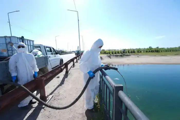 ДЕЗИНСЕКЦИЯ ПРОТИВ МОШКИ В ОТЫРАРСКОМ РАЙОНЕ: СПЕЦИАЛИСТЫ НАЧАЛИ РАБОТУ