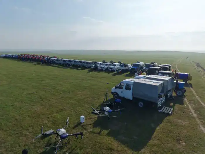 Площадь химических обработок против саранчовых в 2026 году составит 2,2 млн га (4)