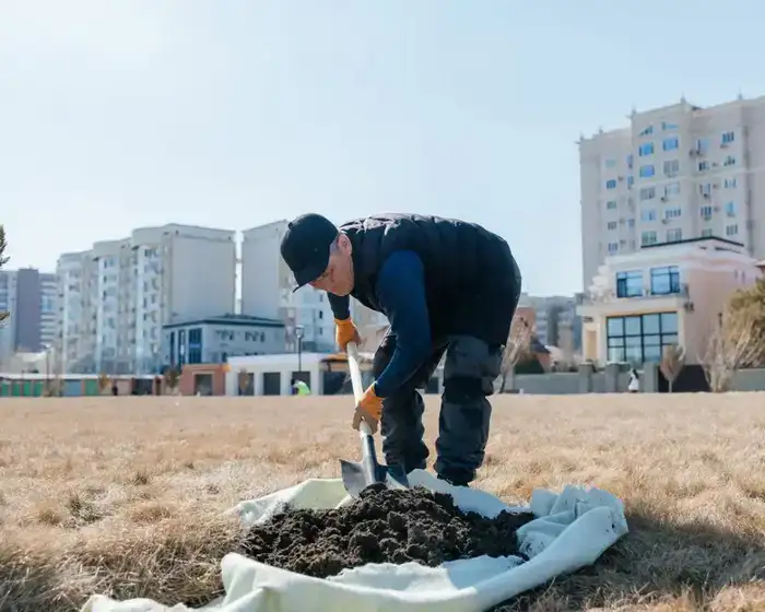 29 тысяч деревьев планируется высадить в этом году в Атырау ⠀ (4)