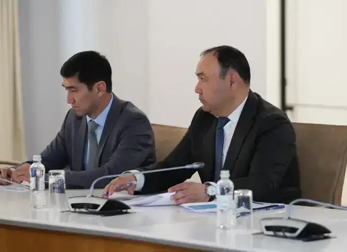 В ТУРКЕСТАНСКОЙ ОБЛАСТИ В РАМКАХ ПРОГРАММЫ «АУЫЛ АМАНАТЫ» СОЗДАНО ОКОЛО 5 ТЫСЯЧ НОВЫХ РАБОЧИХ МЕСТ (2)