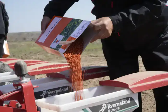 В Жетісу стартовал сев сахарной свёклы на 13 тыс. гектаров (7)