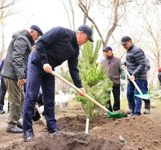 «Таза Қазақстан»: В Караганде за день посадили 400 деревьев (9)