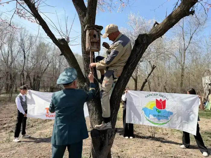 1 апрель - Международный день птиц (3)