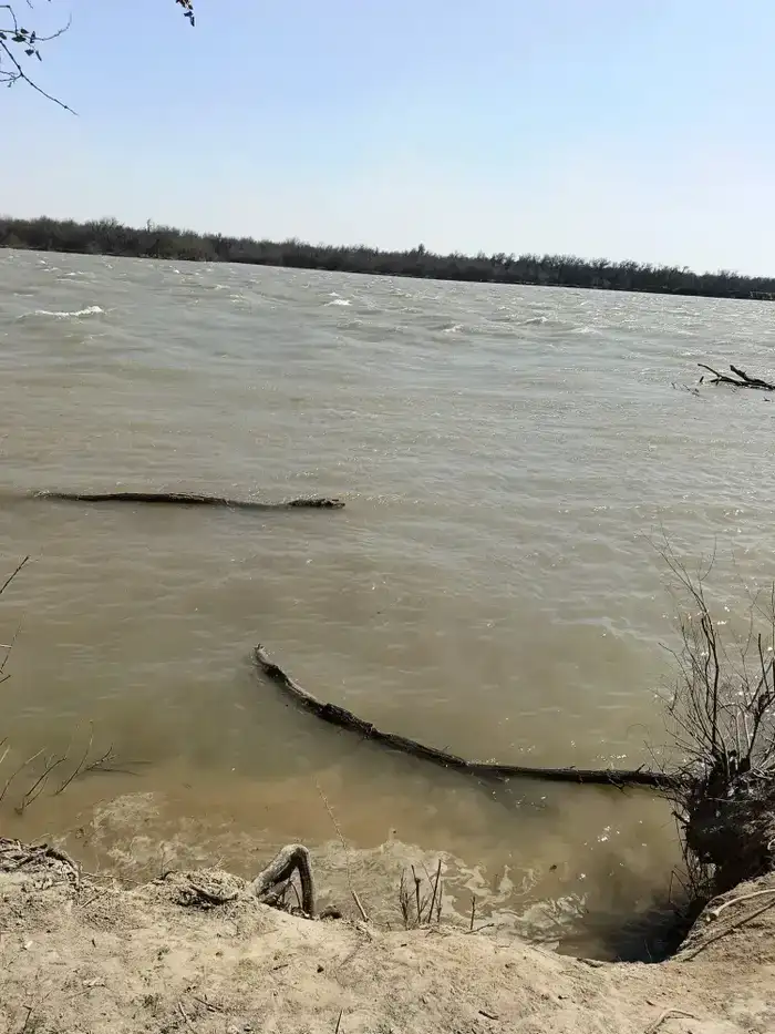 В ТУРКЕСТАНСКОЙ ОБЛАСТИ УСИЛЕН НАУЧНЫЙ МОНИТОРИНГ ПО БОРЬБЕ С КОМАРАМИ (3)