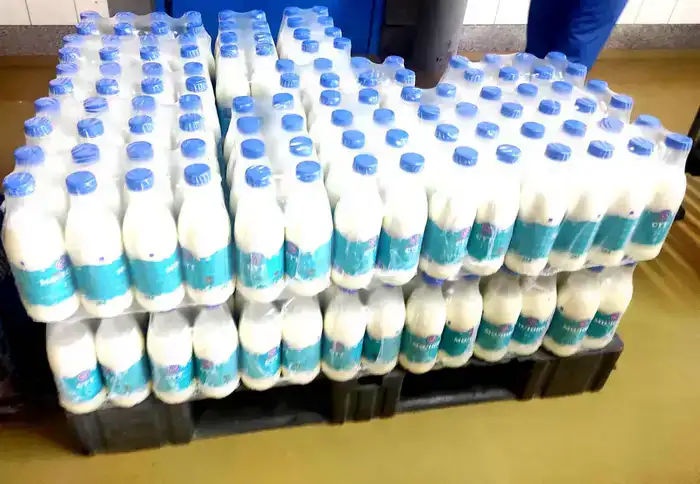 Международный форум и выставка «PRO МОЛОКО 2026 & QazaqSut» в Усть-Каменогорске: инвестиции и развитие агропромышленного комплекса