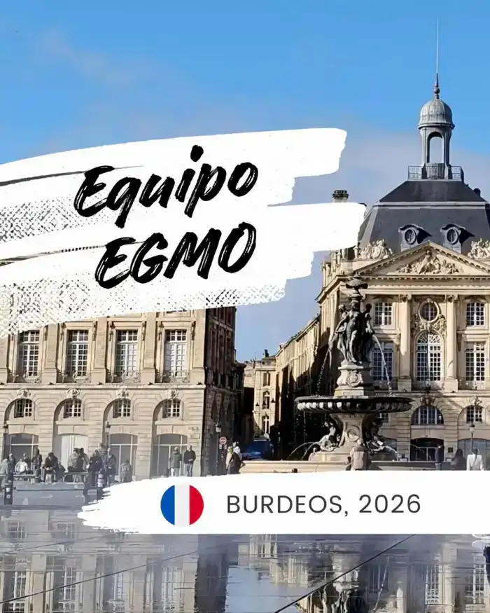 Казахстанская команда готовится к 15-й Европейской математической олимпиаде для девушек в Бордо