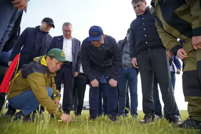 Казахстан: меньше гектаров, больше контроля над саранчой!