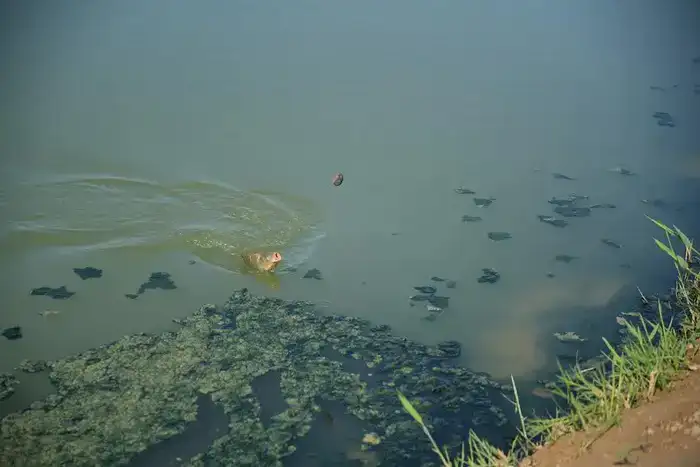 В ТУРКЕСТАНСКОЙ ОБЛАСТИ ПРОШЕЛ ПЕРВЫЙ МЕЖДУНАРОДНЫЙ ФЕСТИВАЛЬ “AUYL INVEST FEST. РЫБАЛКА-2026” (7)