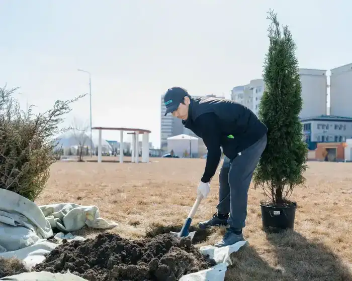 29 тысяч деревьев планируется высадить в этом году в Атырау ⠀ (2)
