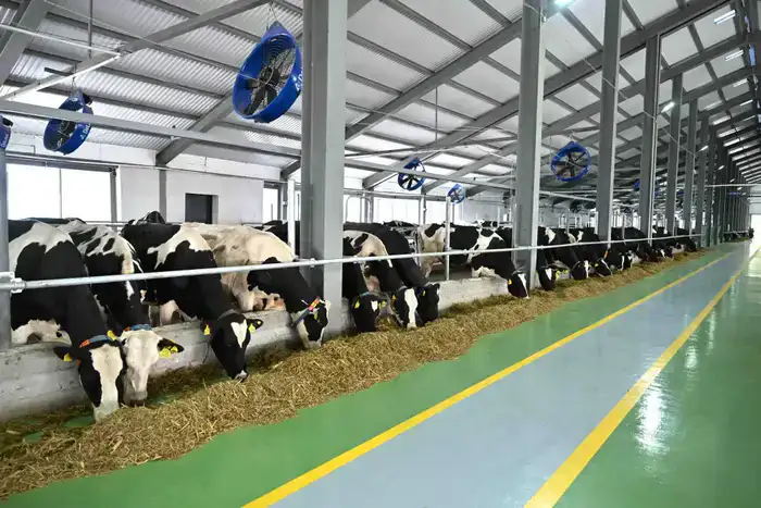 В ТУРКЕСТАНСКОЙ ОБЛАСТИ ЗАКУПЛЕНО 223 ЕДИНИЦЫ НОВОЙ СЕЛЬХОЗТЕХНИКИ (5)