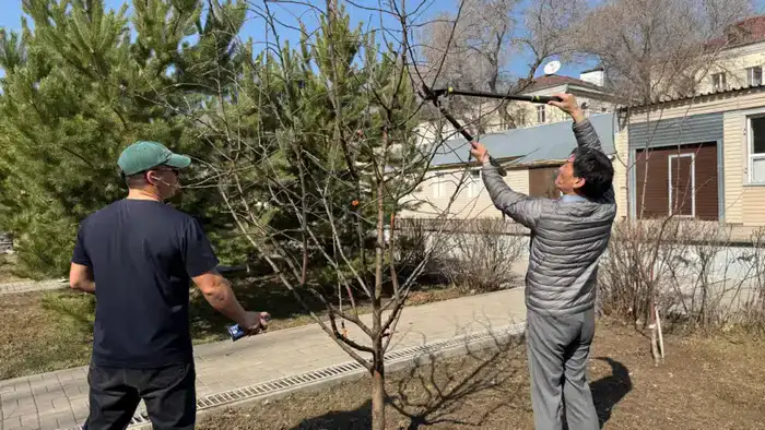 «Начни с себя!»: в Астане представители сферы культуры приняли участие в челлендже чистоты (4)