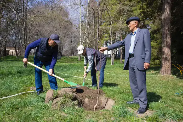 К 180-летию высажено 180 саженцев (2)