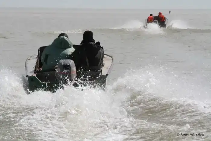 В Казахстане началась акция по охране рыбных ресурсов для защиты осетровых видов