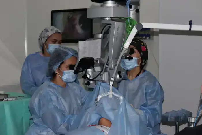 Более 700 пациентов и 180 операций: как в Алматы восстанавливают зрение детям (5)
