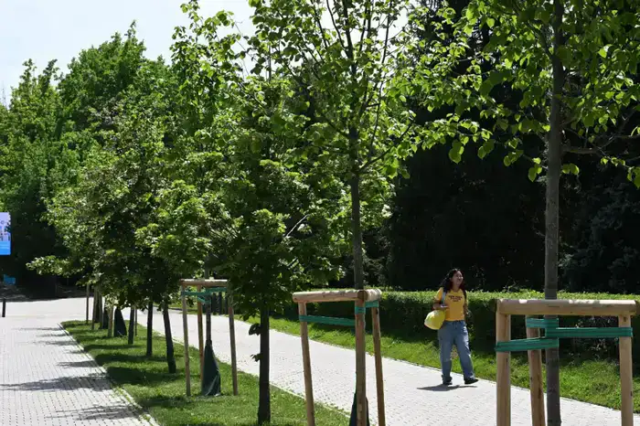 Четырехэтапная биологическая обработка зеленого фонда в Алматы