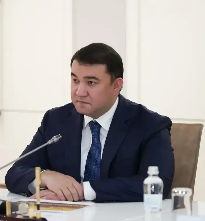 Нуралхан Кушеров и Канат Копбаев обсудили инвестиционные проекты в Туркестанской области