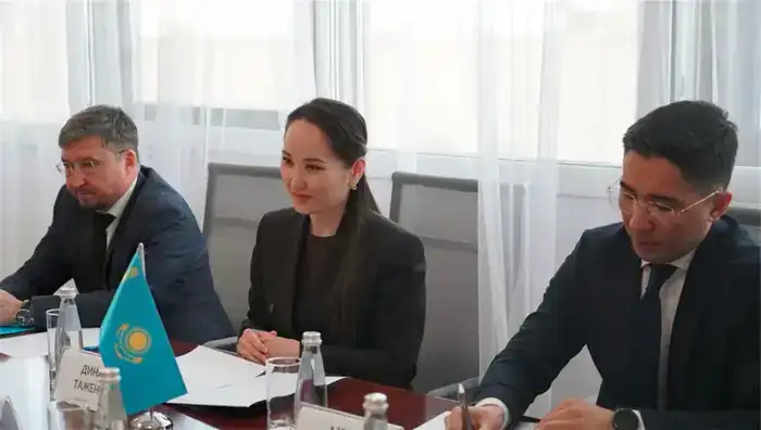 Руководитель правозащитного центра и представитель Совета Европы обсудили перспективы взаимодействия (4)