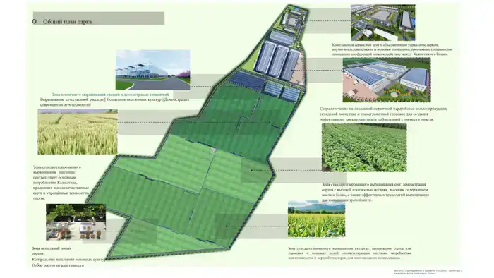 Kozybayev University представил проекты по развитию агропромышленного комплекса (3)