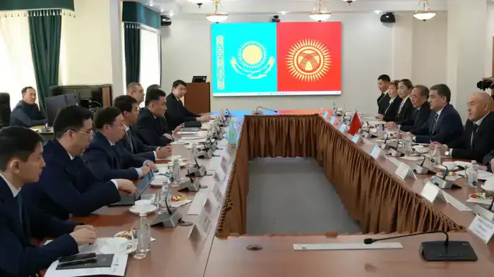 Казахстан и Кыргызстан укрепляют сотрудничество в социально-трудовой сфере и обмениваются цифровым опытом (5)