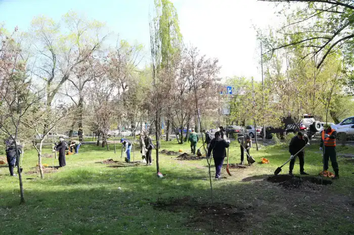 «Таза Қазақстан»: в Алматы в 2026 году высадят более 550 тыс. зеленых насаждений (4)