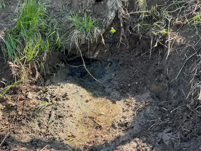 В Жамбылской области продолжается акция «Мөлдір бұлақ» (5)