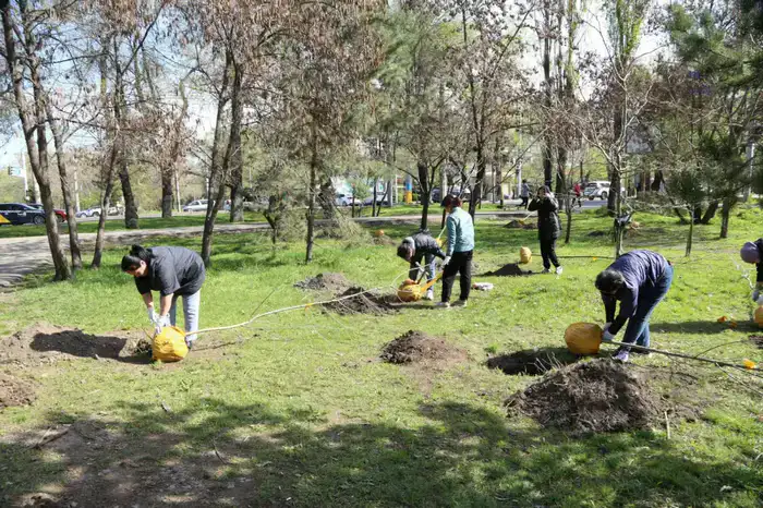 «Таза Қазақстан»: в Алматы в 2026 году высадят более 550 тыс. зеленых насаждений (3)